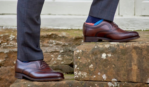 Баркерфлекс