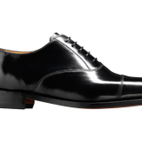 Arnold - Black Hi-Shine